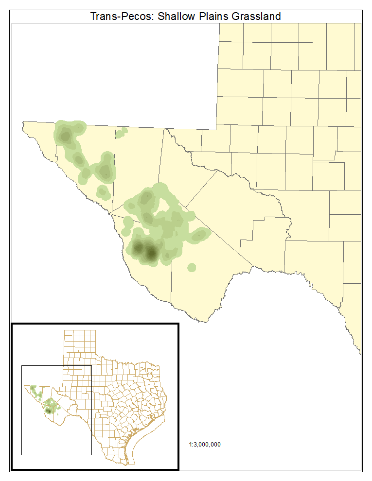Trans-Pecos: Shallow Plains Grassland