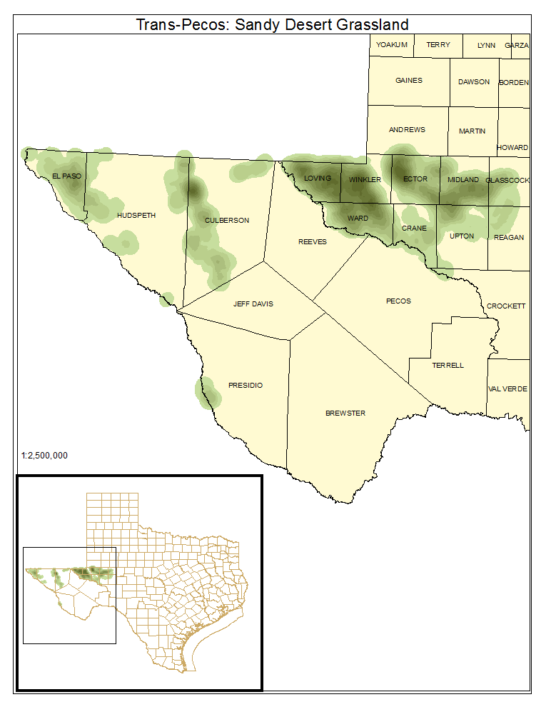 Trans-Pecos: Sandy Desert Grassland