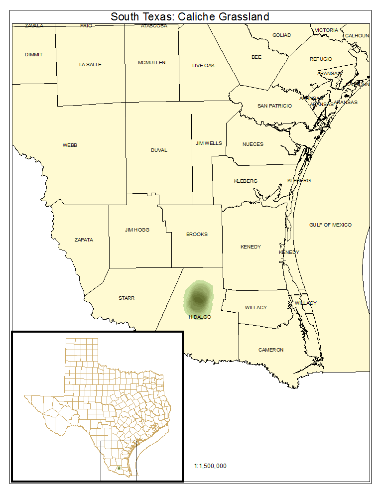 South Texas: Caliche Grassland