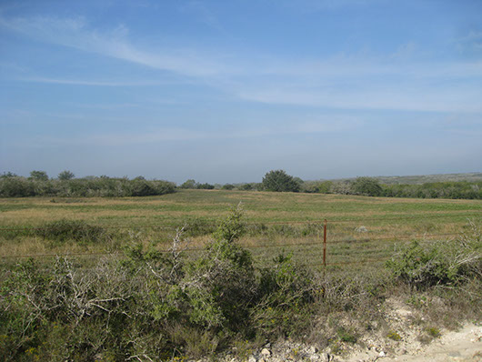 south texas-caliche grassland-1050.jpg