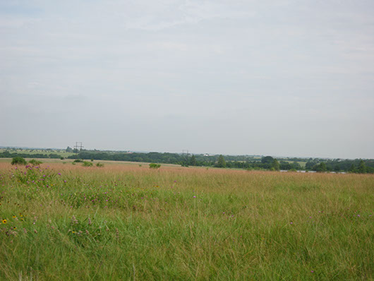 blackland_tallgrass_prairie_site2273.jpg blackland_tallgrass_prairie_site2273.jpg