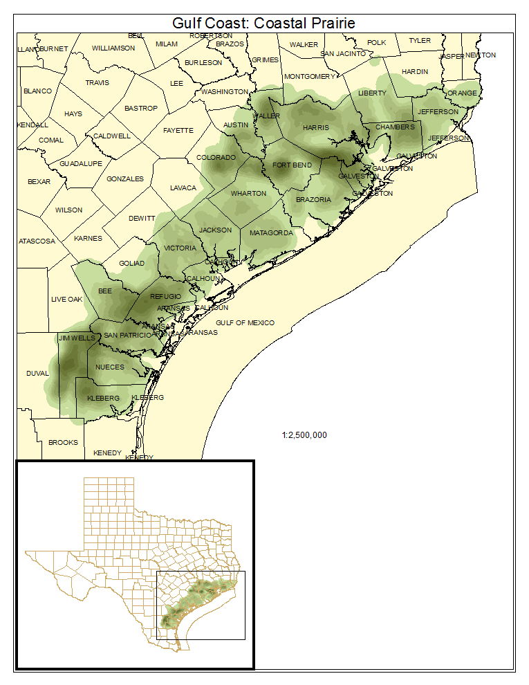 Gulf Coast: Coastal Prairie