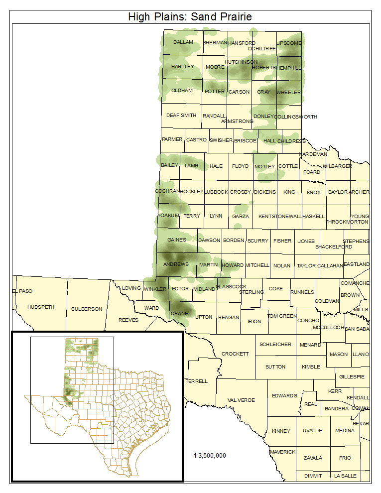 High Plains: Sand Prairie