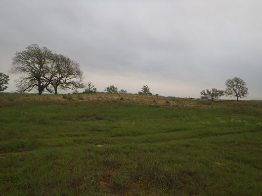 high plains-sand prairie-330 (1).jpg high plains-sand prairie-330 (1).jpg