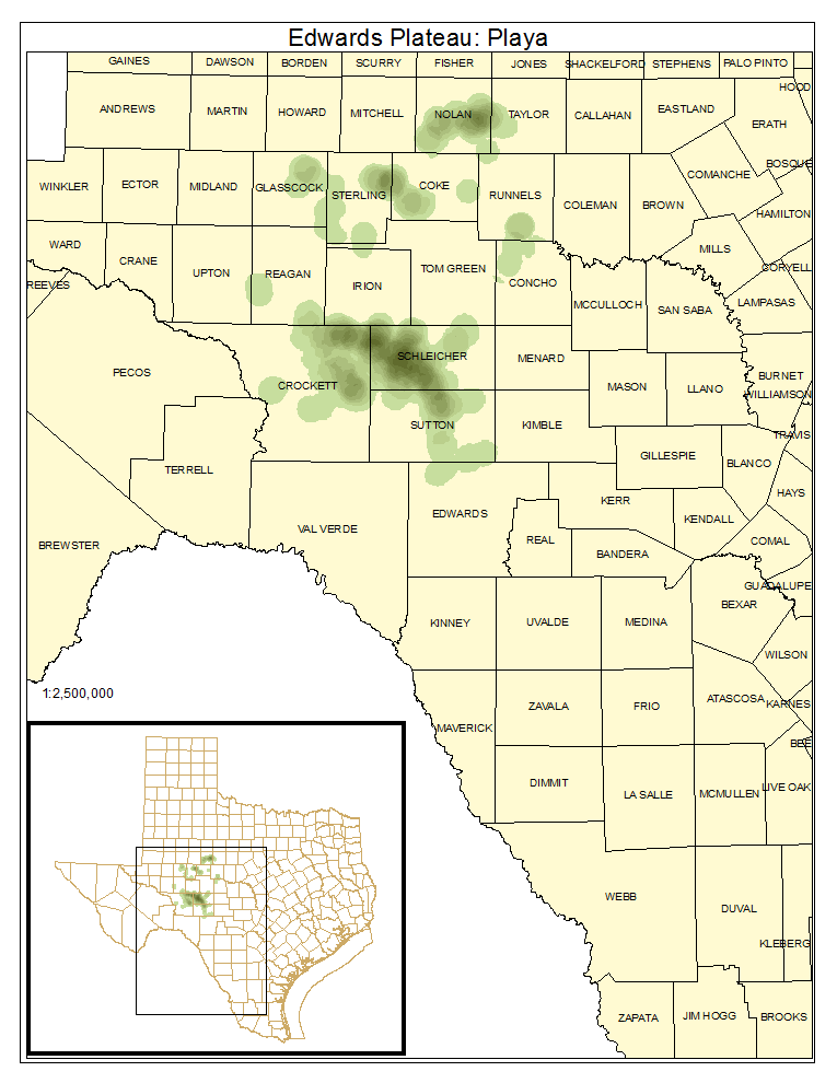 Edwards Plateau: Playa