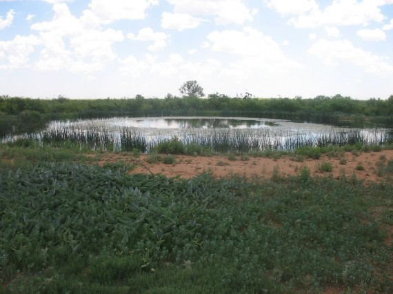 Example Edwards Plateau: Playa.jpg