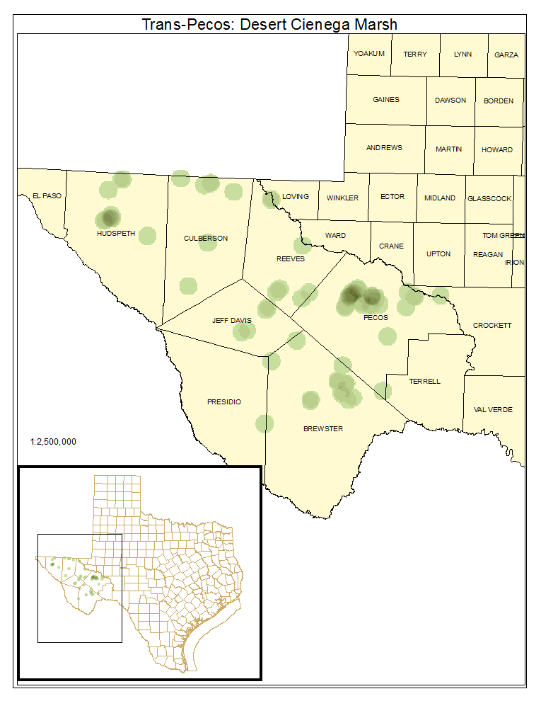 Trans-Pecos: Desert Cienega Marsh