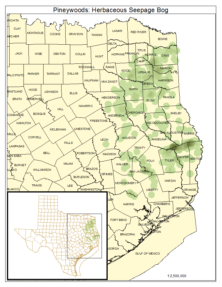 Pineywoods: Herbaceous Seepage Bog