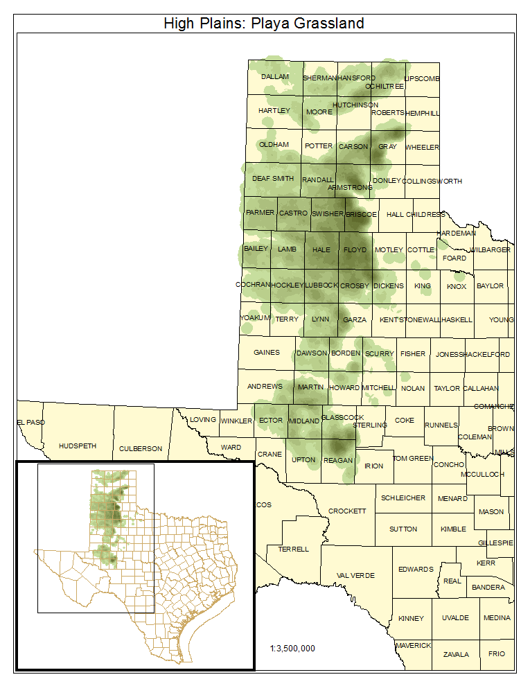 High Plains: Playa Grassland