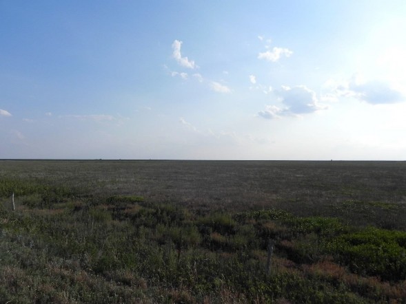 Example High Plains: Playa Grassland.jpg