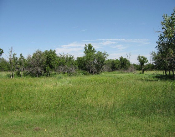 Example High Plains: Depressional Marsh.jpg Example High Plains: Depressional Marsh.jpg