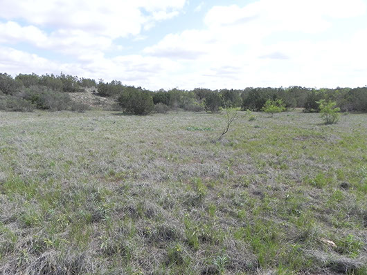 high plains-depressional wet prairie-733.jpg