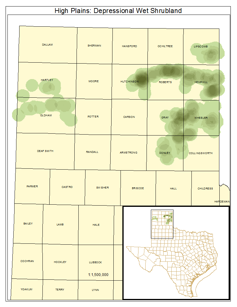 High Plains: Depressional Wet Shrubland