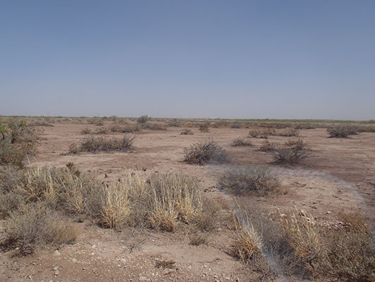 high plains-saline lake-294.jpg high plains-saline lake-294.jpg