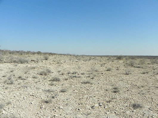 Example Barren.jpg