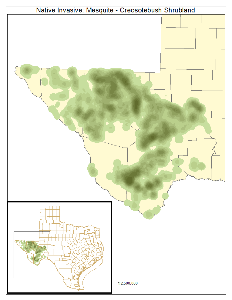 Native Invasive: Mesquite - Creosotebush Shrubland