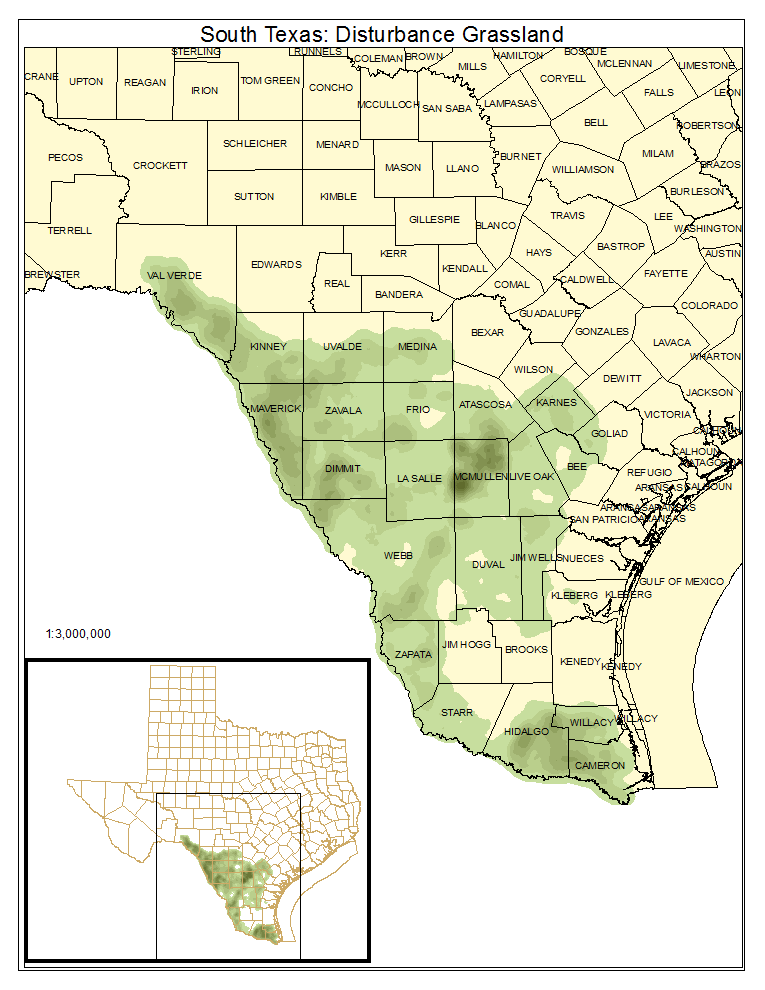 South Texas: Disturbance Grassland