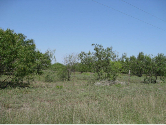 Example South Texas: Disturbance Grassland.png