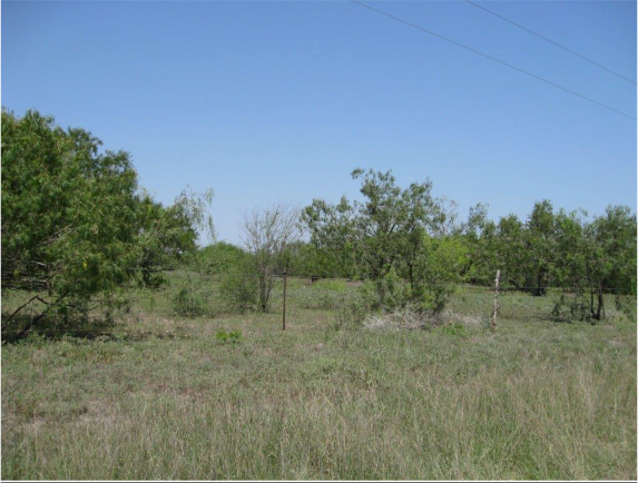 Example South Texas: Disturbance Grassland.png Example South Texas: Disturbance Grassland.png