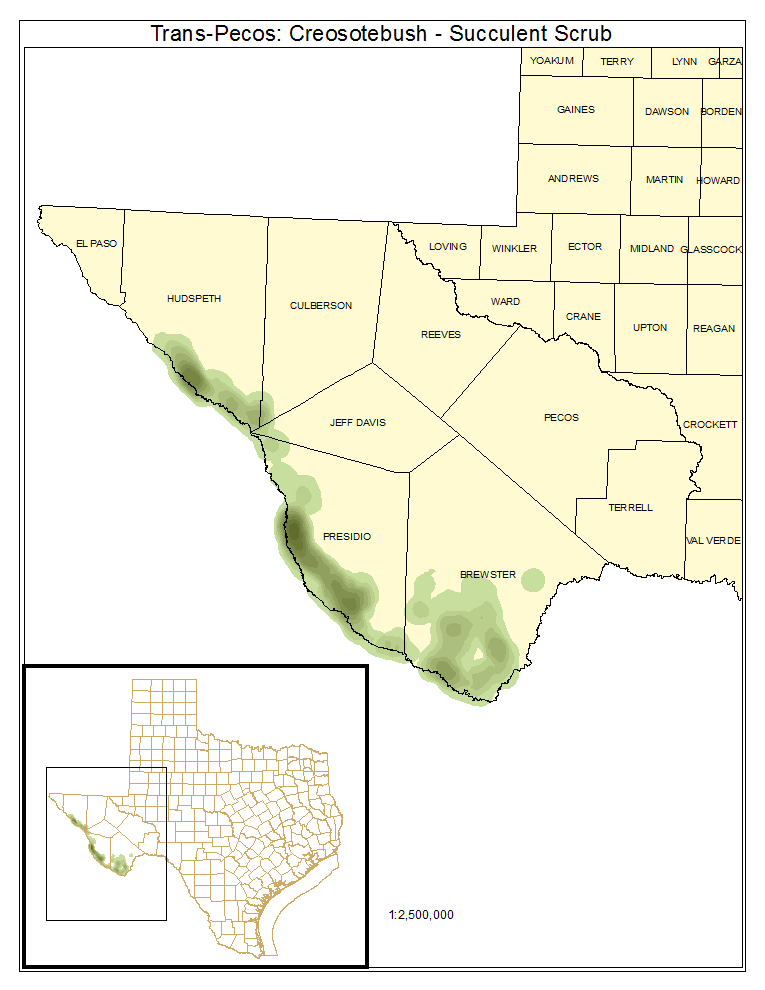 Trans-Pecos: Creosotebush - Succulent Scrub