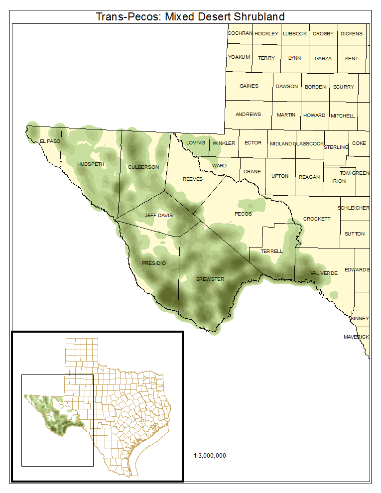 Trans-Pecos: Mixed Desert Shrubland