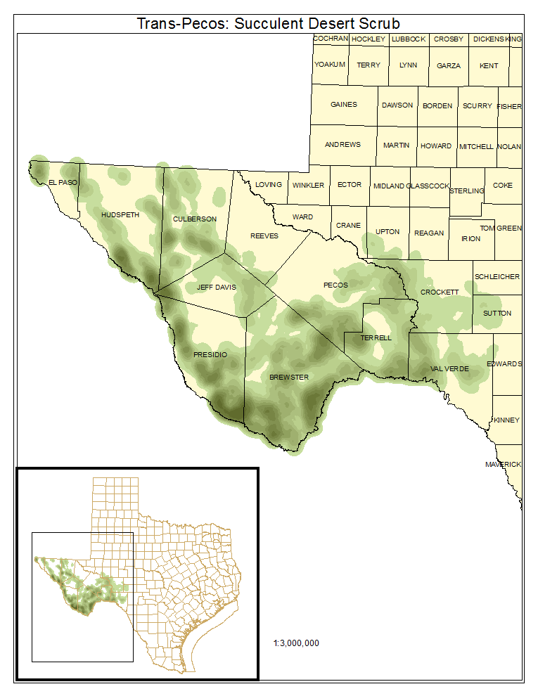 Trans-Pecos: Succulent Desert Scrub