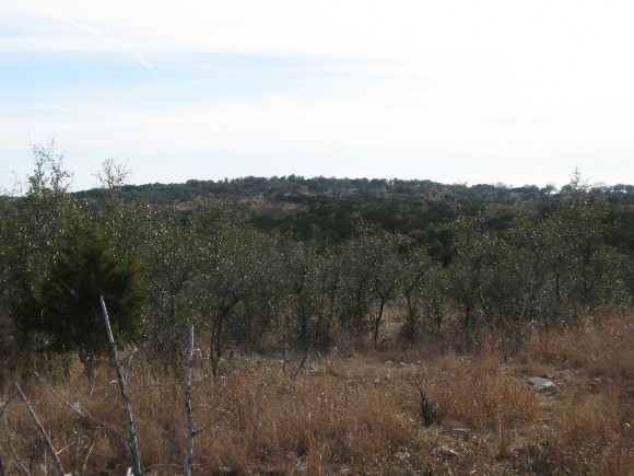 Example Edwards Plateau Ashe Juniper/Live Oak Shrubland.jpg Example Edwards Plateau Ashe Juniper/Live Oak Shrubland.jpg