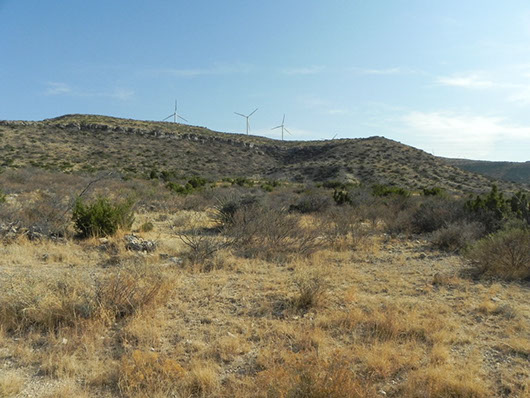 edwards plateau-deciduous semi-arid shrubland-200.jpg edwards plateau-deciduous semi-arid shrubland-200.jpg