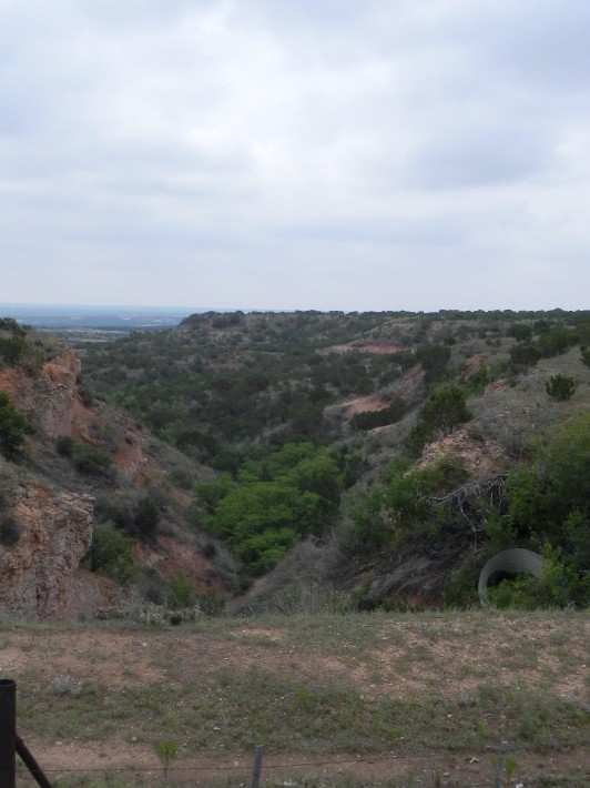 Llano Estacado Caprock Escarpment and Breaks Shrubland and Steppe