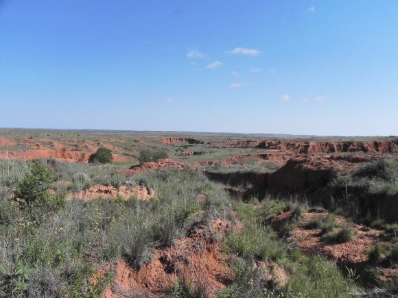Example Rolling Plains: Breaks Grassland.jpg Example Rolling Plains: Breaks Grassland.jpg