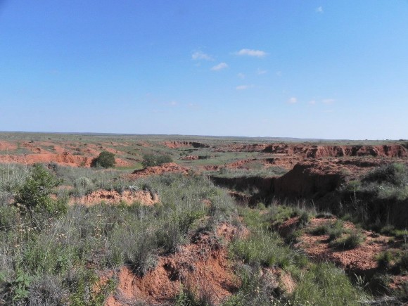 Llano Estacado Caprock Escarpment and Breaks Shrubland and Steppe