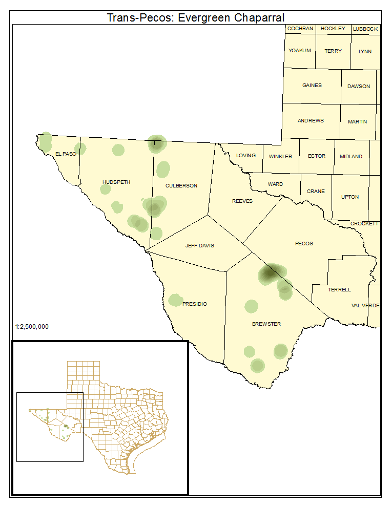 Trans-Pecos: Evergreen Chaparral