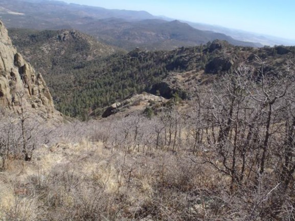 Example Trans-Pecos: Rocky Mountain Gambel Oak-Mixed Shrubland.jpg