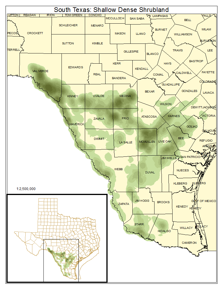 South Texas: Shallow Dense Shrubland