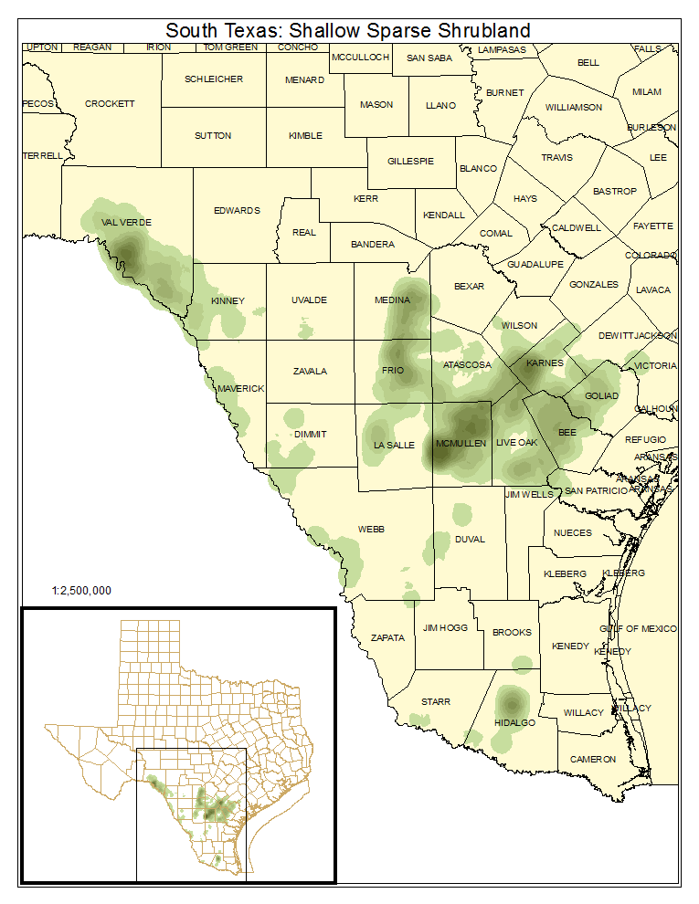 South Texas: Shallow Sparse Shrubland