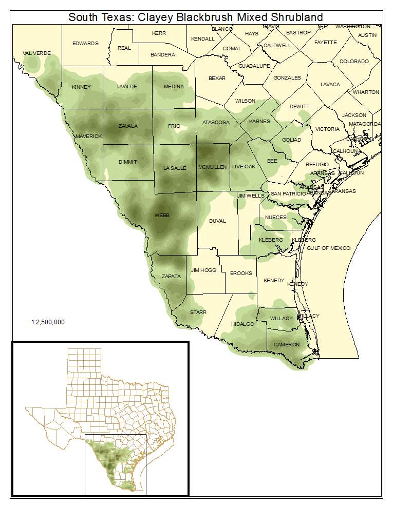 South Texas: Clayey Blackbrush Mixed Shrubland