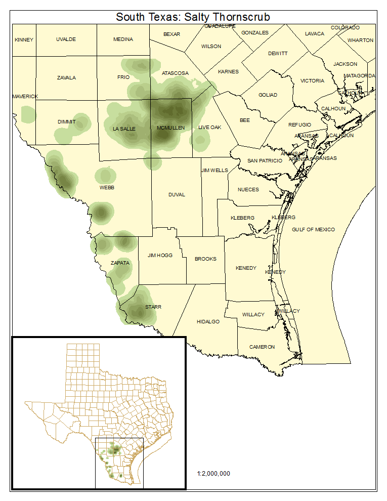 South Texas: Salty Thornscrub