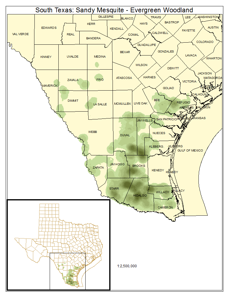 South Texas: Sandy Mesquite / Evergreen Woodland