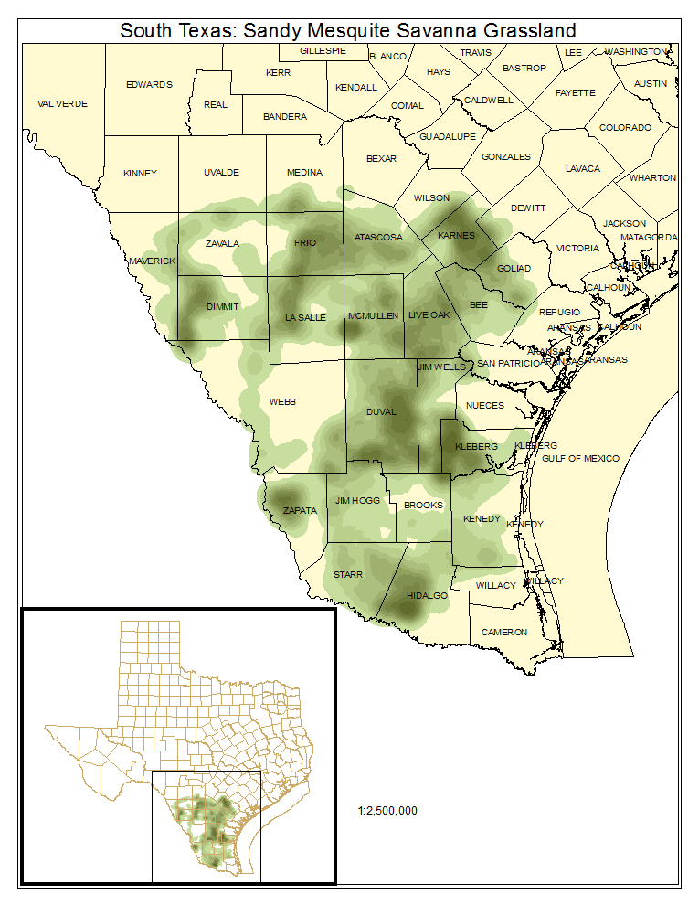 South Texas: Sandy Mesquite Savanna Grassland