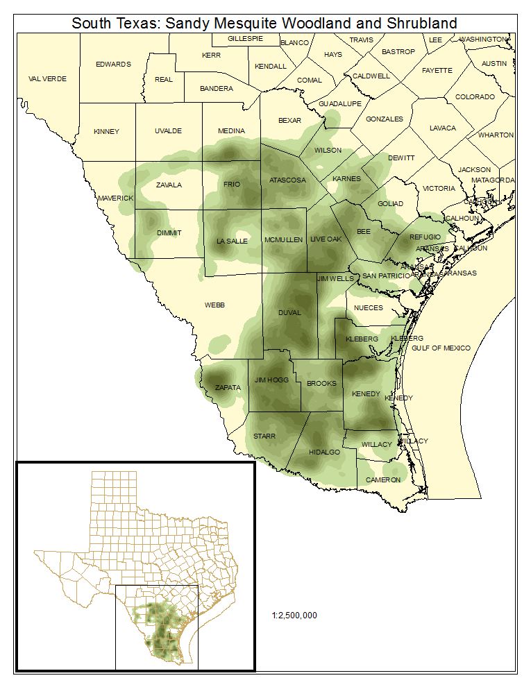 South Texas: Sandy Mesquite Woodland and Shrubland