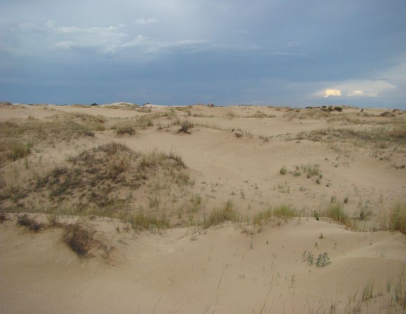 Example High Plains Active Sand Dunes.jpg Example High Plains Active Sand Dunes.jpg