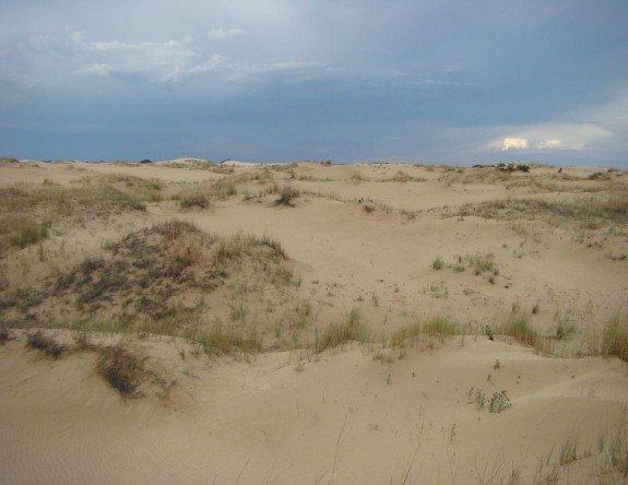 Example High Plains Active Sand Dunes.jpg