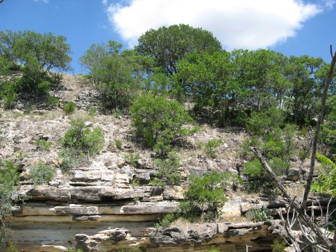 Example Edwards Plateau: Wooded Cliff/Bluff.jpg