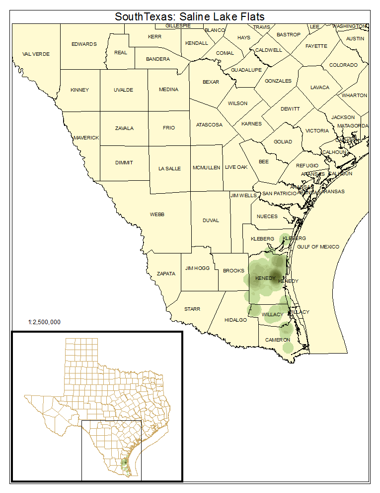 South Texas: Saline Lake Flats