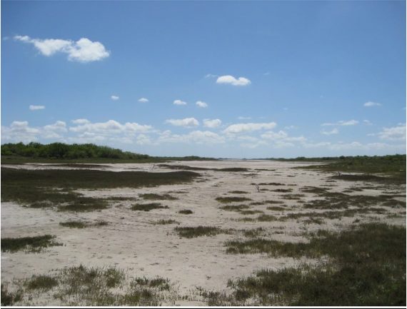 Example South Texas: Saline Lake Flats.png Example South Texas: Saline Lake Flats.png