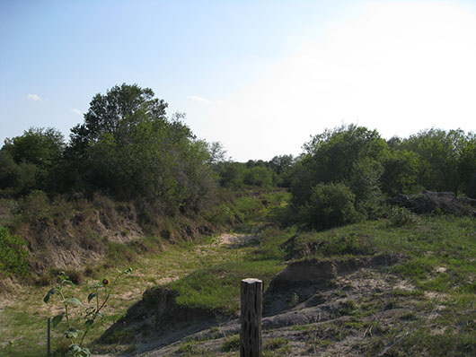 coastal bend-riparian deciduous shrubland-627.jpg