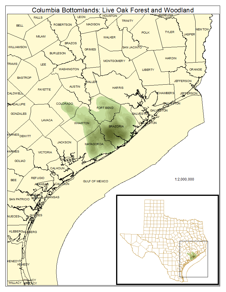 Columbia Bottomlands: Live Oak Forest and Woodland