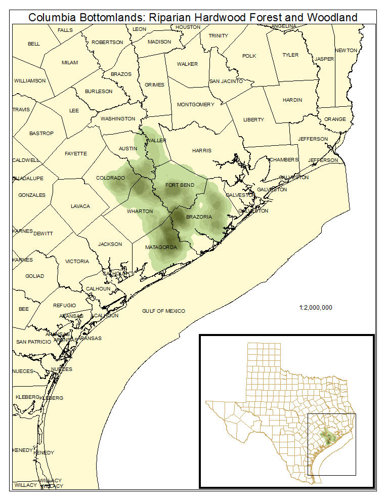Columbia Bottomlands: Riparian Hardwood Forest and Woodland