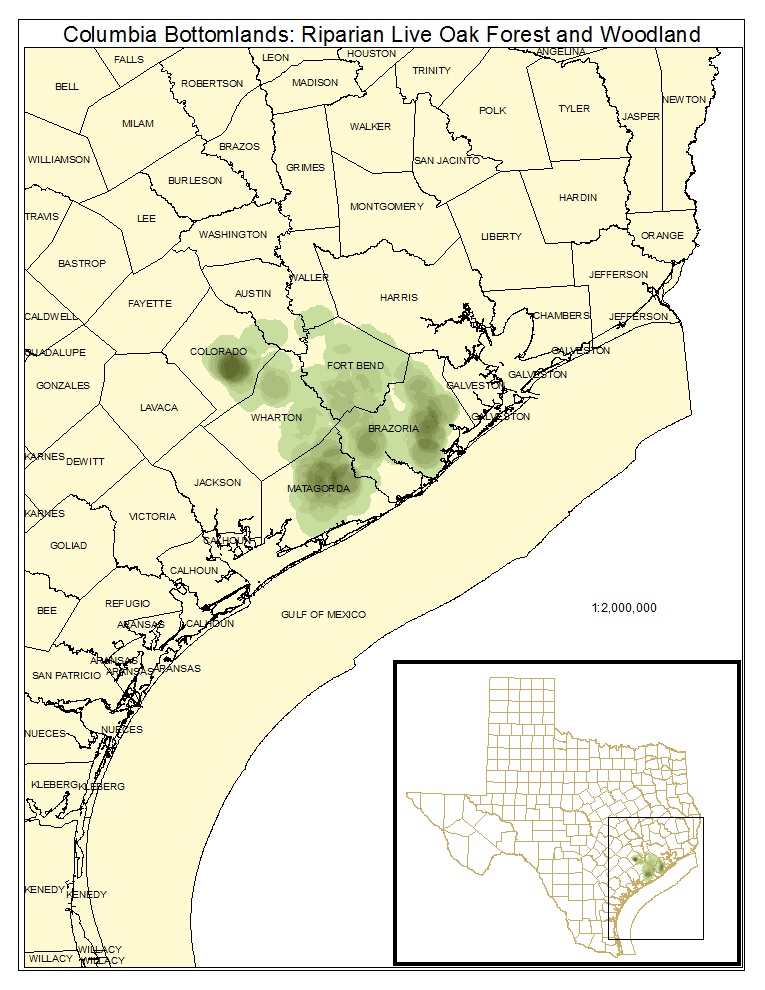 Columbia Bottomlands: Riparian Live Oak Forest and Woodland