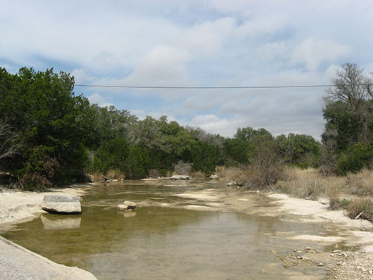 epfloodplain_juniper_forest_site1496.jpg